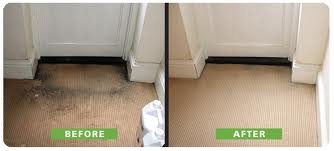 Before and After Carpet Cleaning in Chandler, AZ